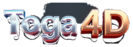 toga4d logo